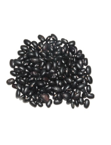 Ecologic Black Beans. IN BULK