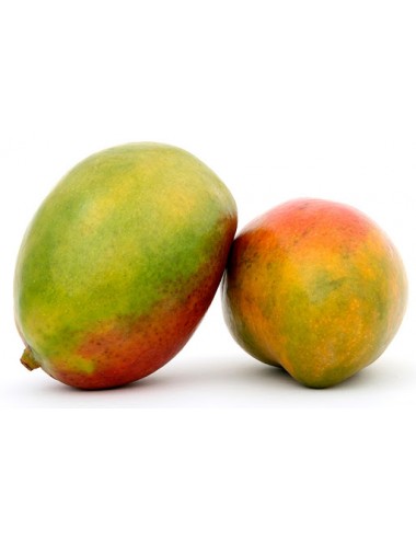 Mango LIPPENS -Madurado en...