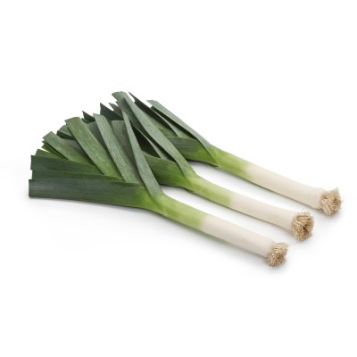 Leek Organic