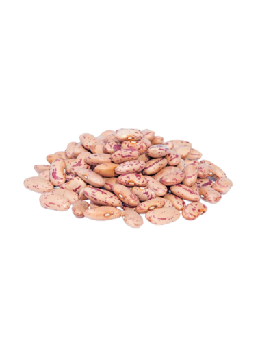 Organic PINTA de león BULK...