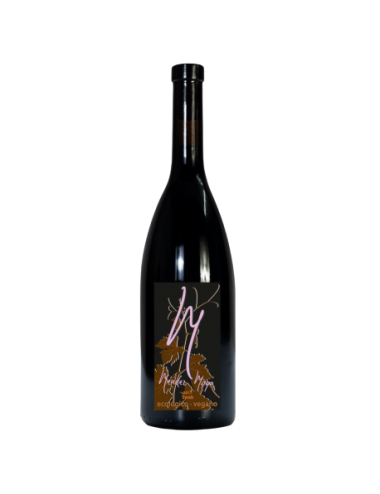 Red wine Syrah Mendez Moya...