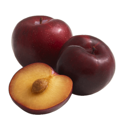 FORTUNA Plum Ecologic