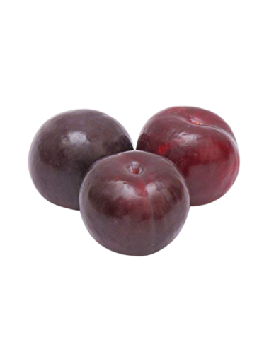 Plum variety SANTA ROSA...