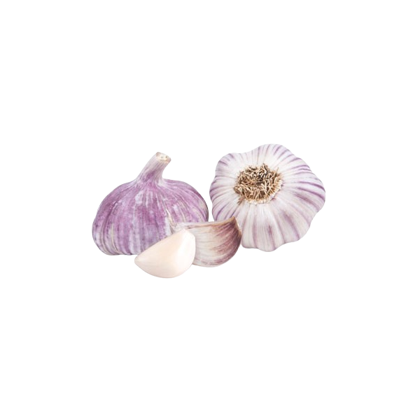 Purple garlic Ecologic 