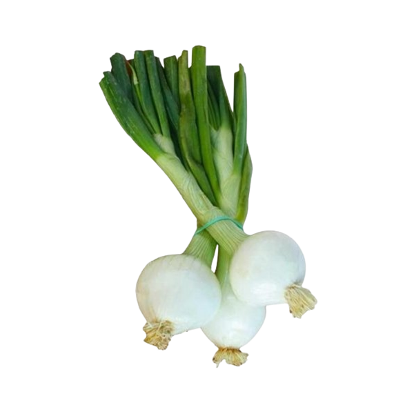 Cebolleta BLANCA manojo 500 gr Ecológica