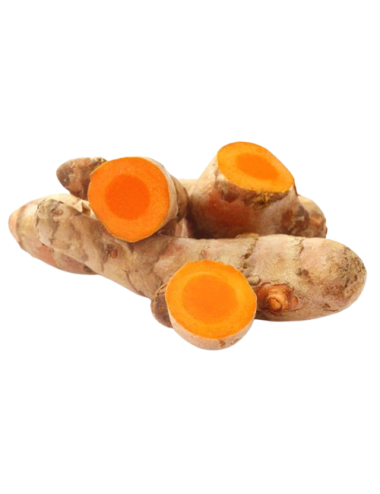Cúrcuma Ecológica Raiz fresca