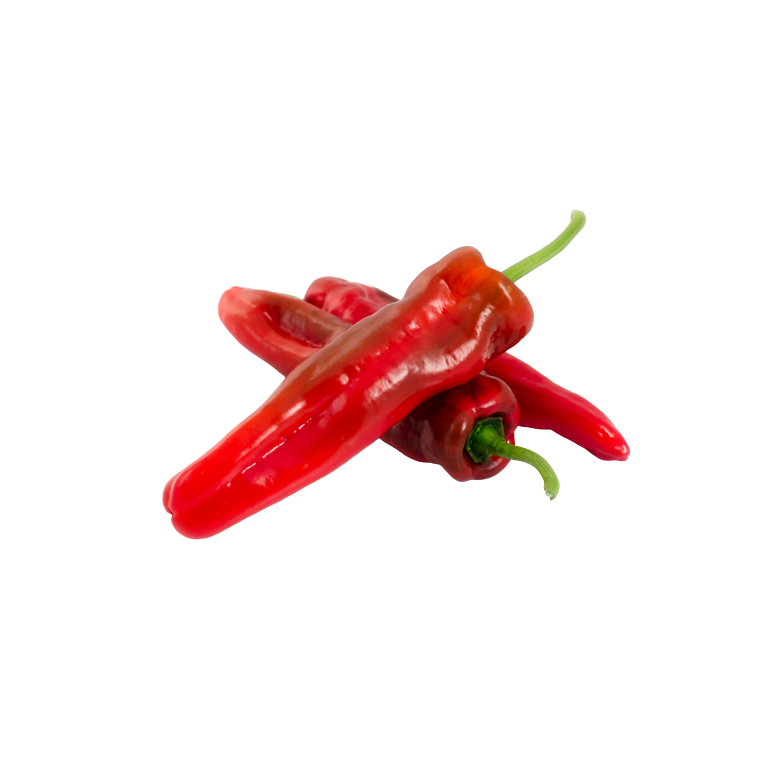RED palermo pepper Organic