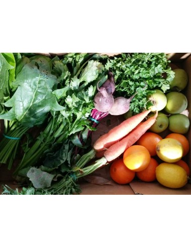 SMOOTHIE ECOBASKET