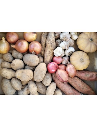 PANTRY ECOBASKET 