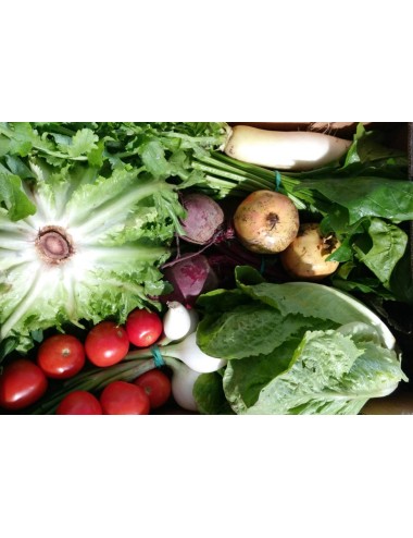 ECOCESTA ENSALADAS