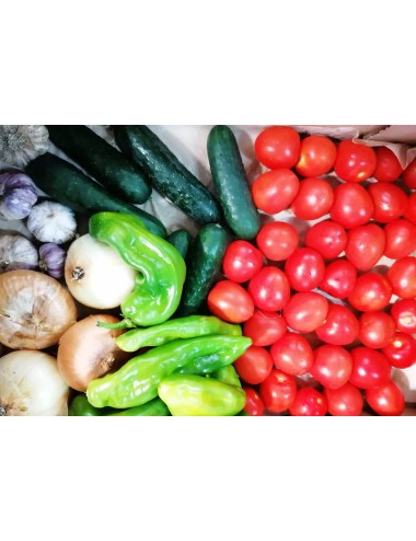 ECOCESTA GAZPACHO