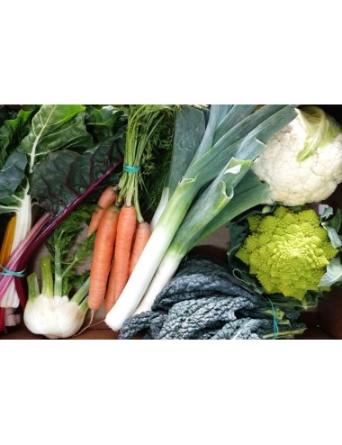 VEGETABLE ECOBASKET