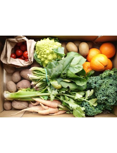 VEGETABLE AND FRUIT ECOBASKET