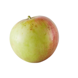 Manzana var. Anna ecológica