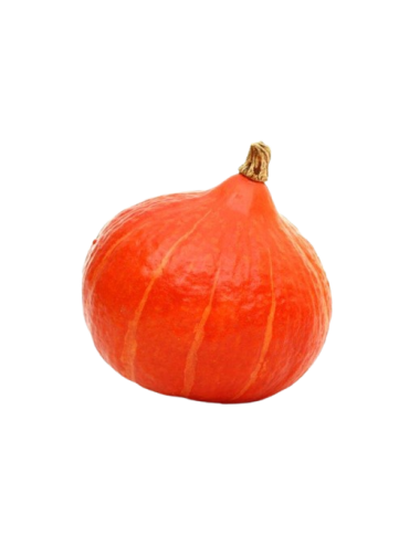 Potimarron Pumpkin/Hokkaido...