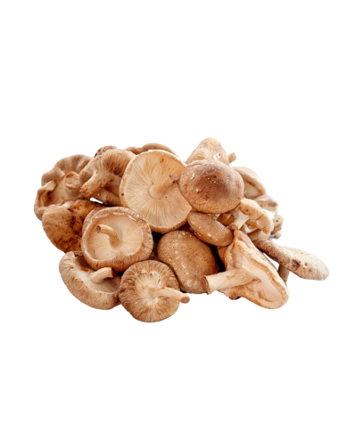 Shiitake mushrooms in BULK...