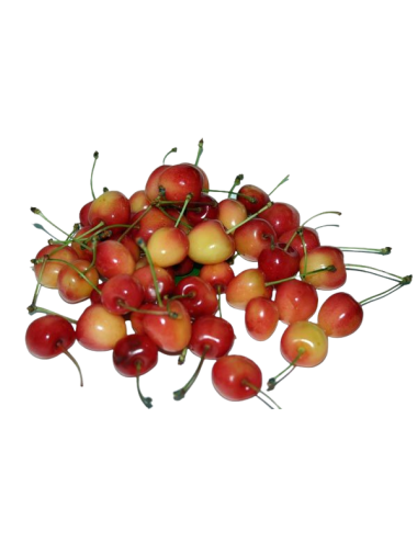 Cereza LAMBERT Ecológica