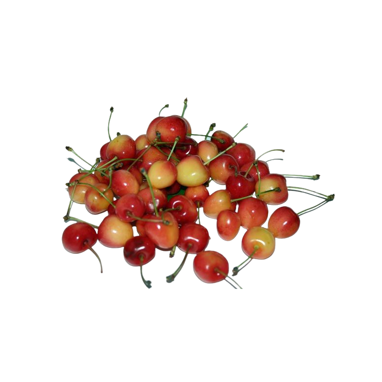 Lambert Cherry Organic