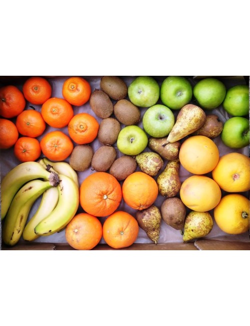 ECOCESTA FRUTA