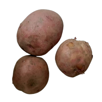 Patata ROJA Ecológica
