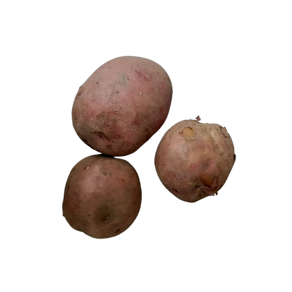 RED Potato Organic 