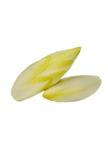 Endive Organic 
