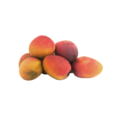 Mango IRWIN BABY Ecológico