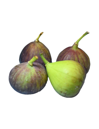 Fresh figs, 500g tray organic