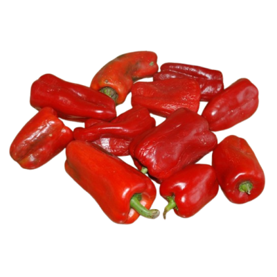 Pimiento padrón ROJO Ecológico