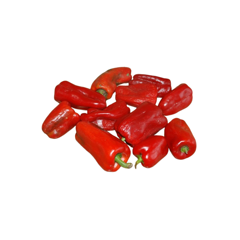 RED Padrón pepper Organic