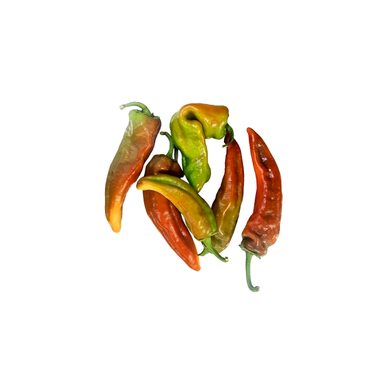 Italian pepper, between green and red Organic