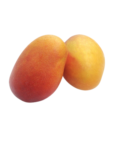 Mango IRWIN -Madurado en...