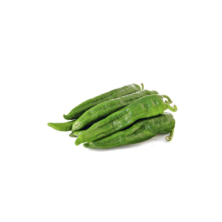 Palermo green pepper (for frying) organic
