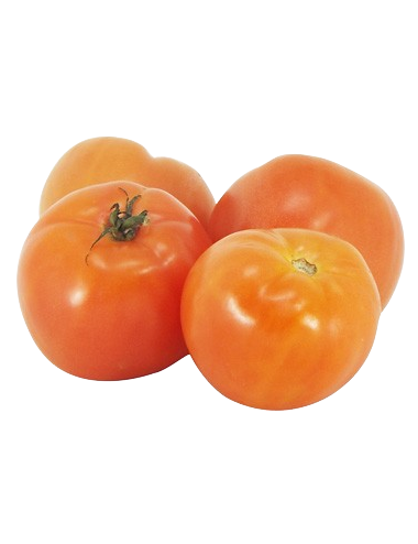 Tomatoes for salad Organic