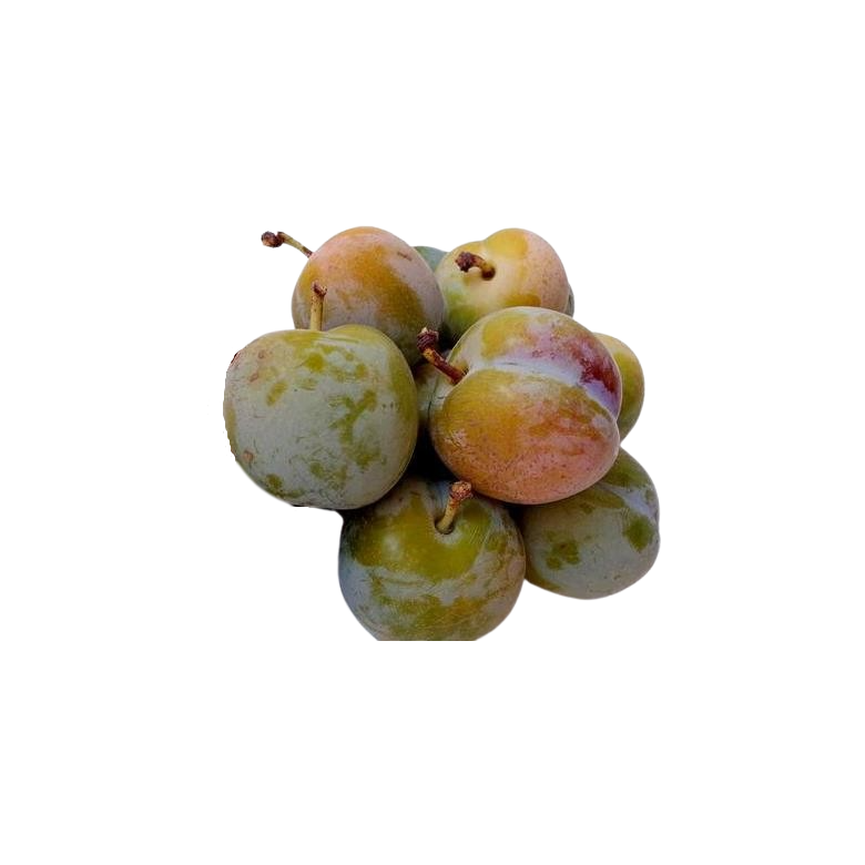 Mature CLAUDIA Plum Box 2 kg Organic