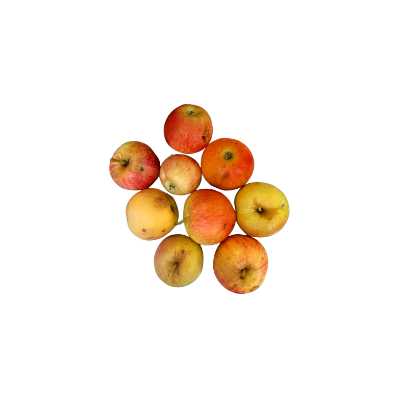 Royal Gala 2nd Apple Organic
