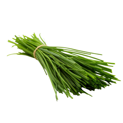 Cebollino fresco manojo 20 gr Ecológicob 