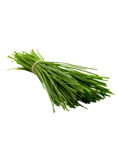 Fresh chives bunch 20 gr...