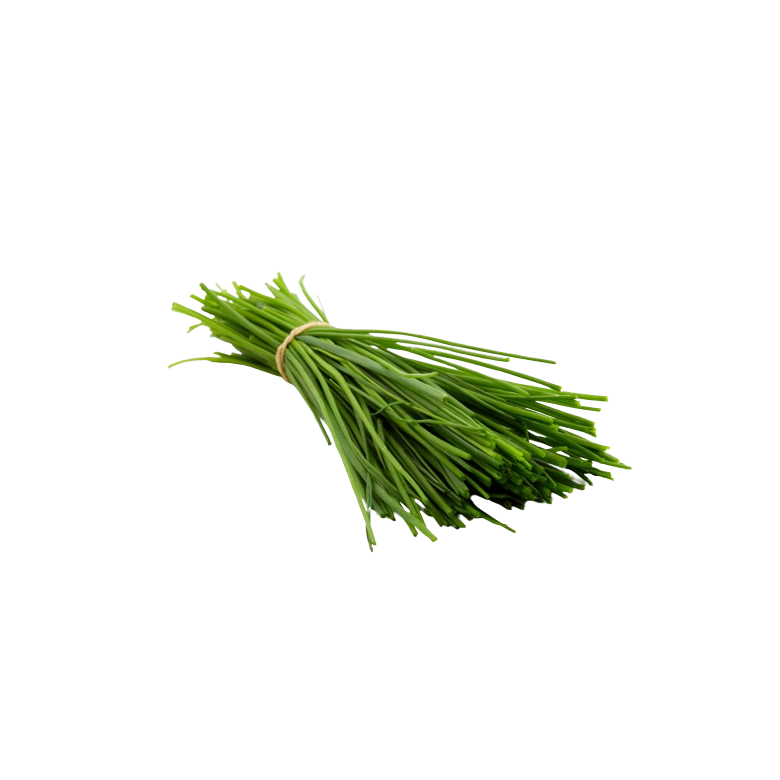 Cebollino fresco manojo 20 gr Ecológicob 