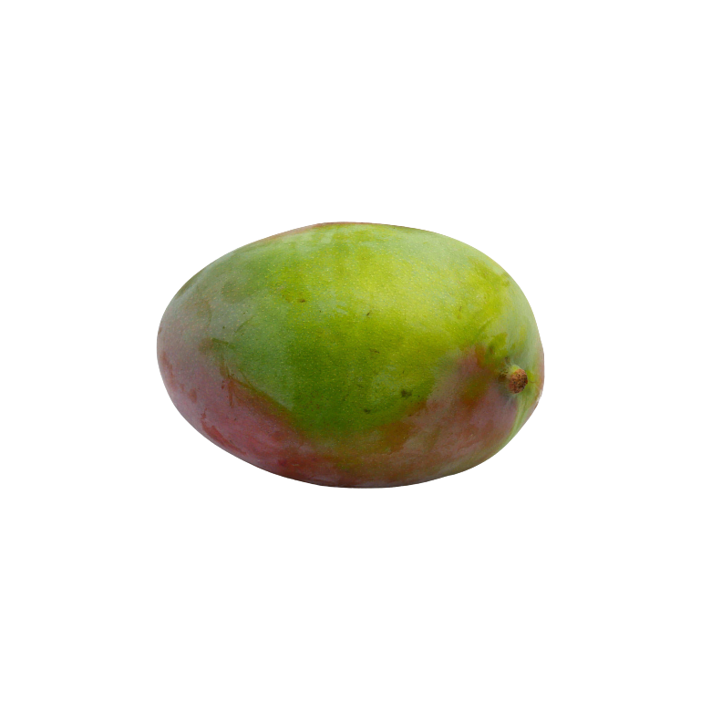 Mango KEITT -GRANDE- Ecológico