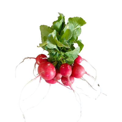 Short radishes, bunch, 250 g, organic. 