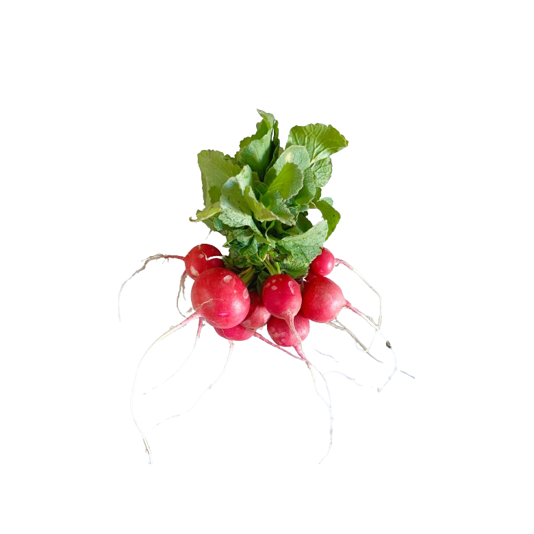 Rabanito corto Manojo 250 g Ecológico. 