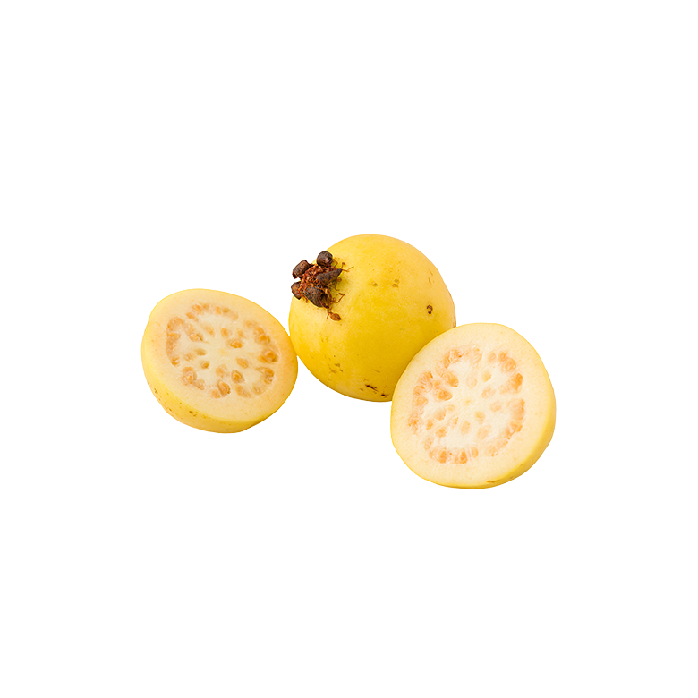Guava organic
