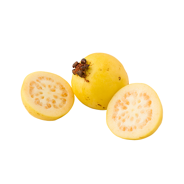 Guayaba Ecológica