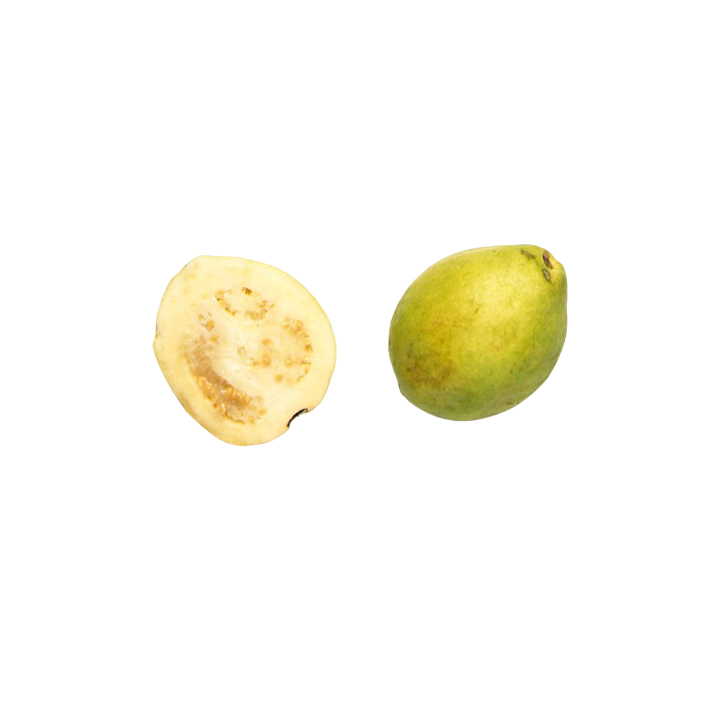 Guava organic
