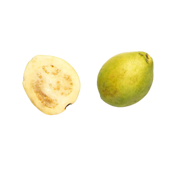 Guava organic