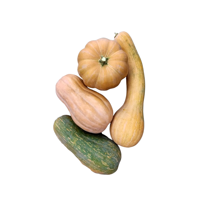 Pumpkin organic