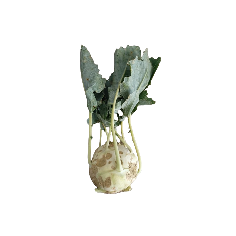 Kohlrabi piece organic