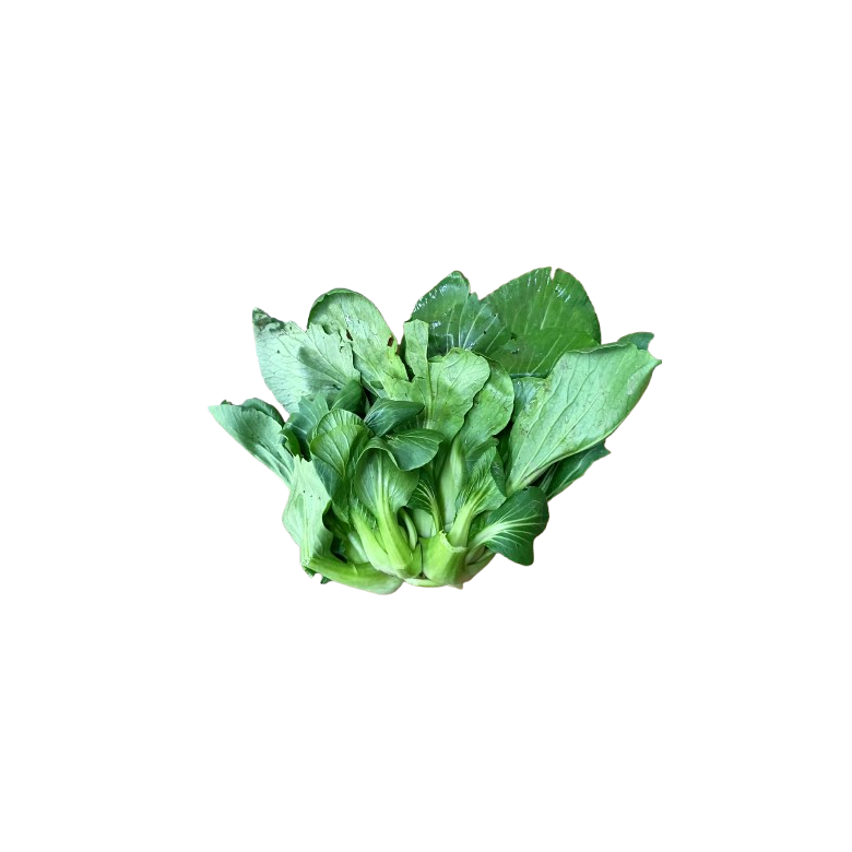 Pak choi GRANEL Ecológico