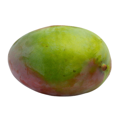 Mango KEITT Ecológico